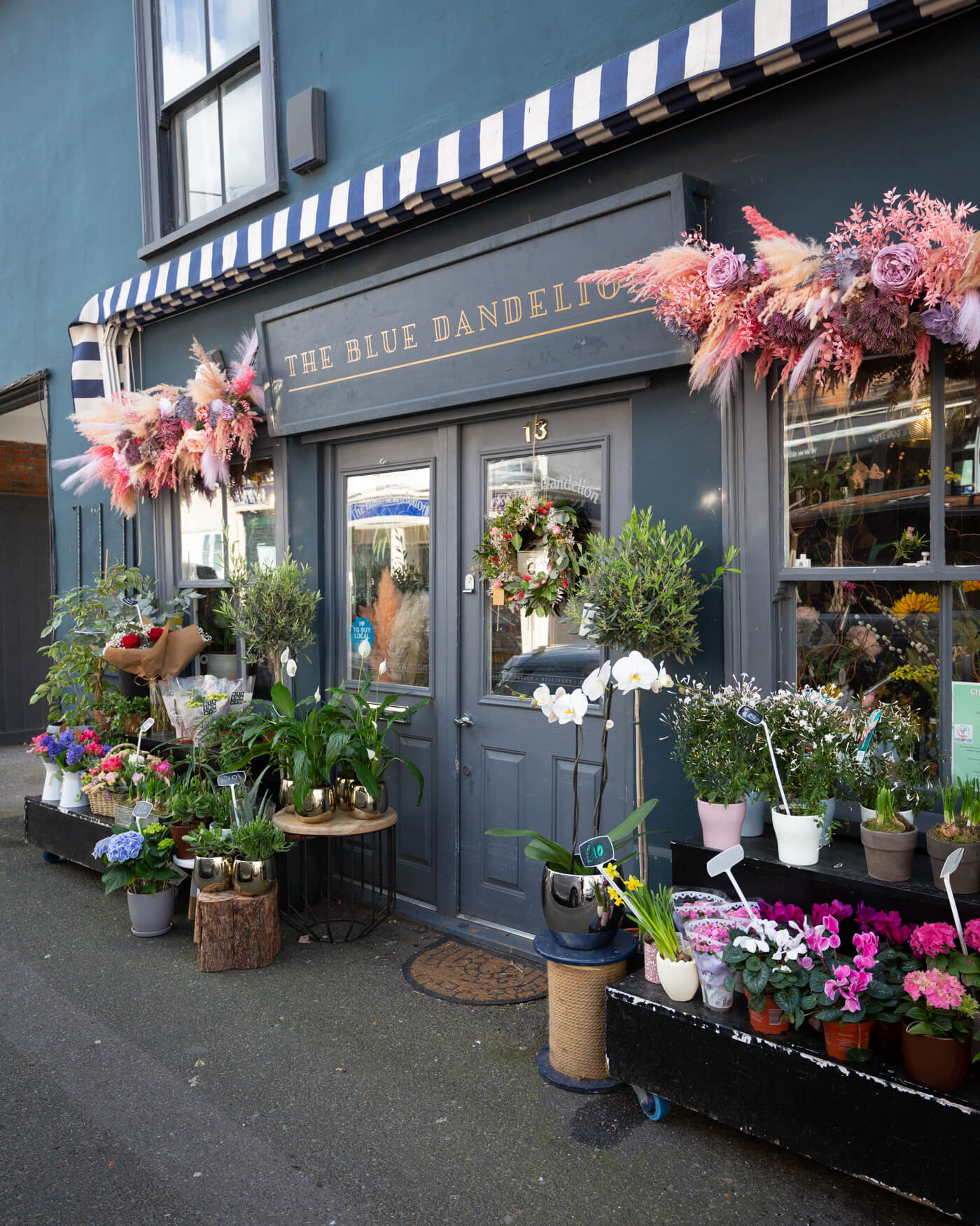 The Blue Dandelion Ingatestone