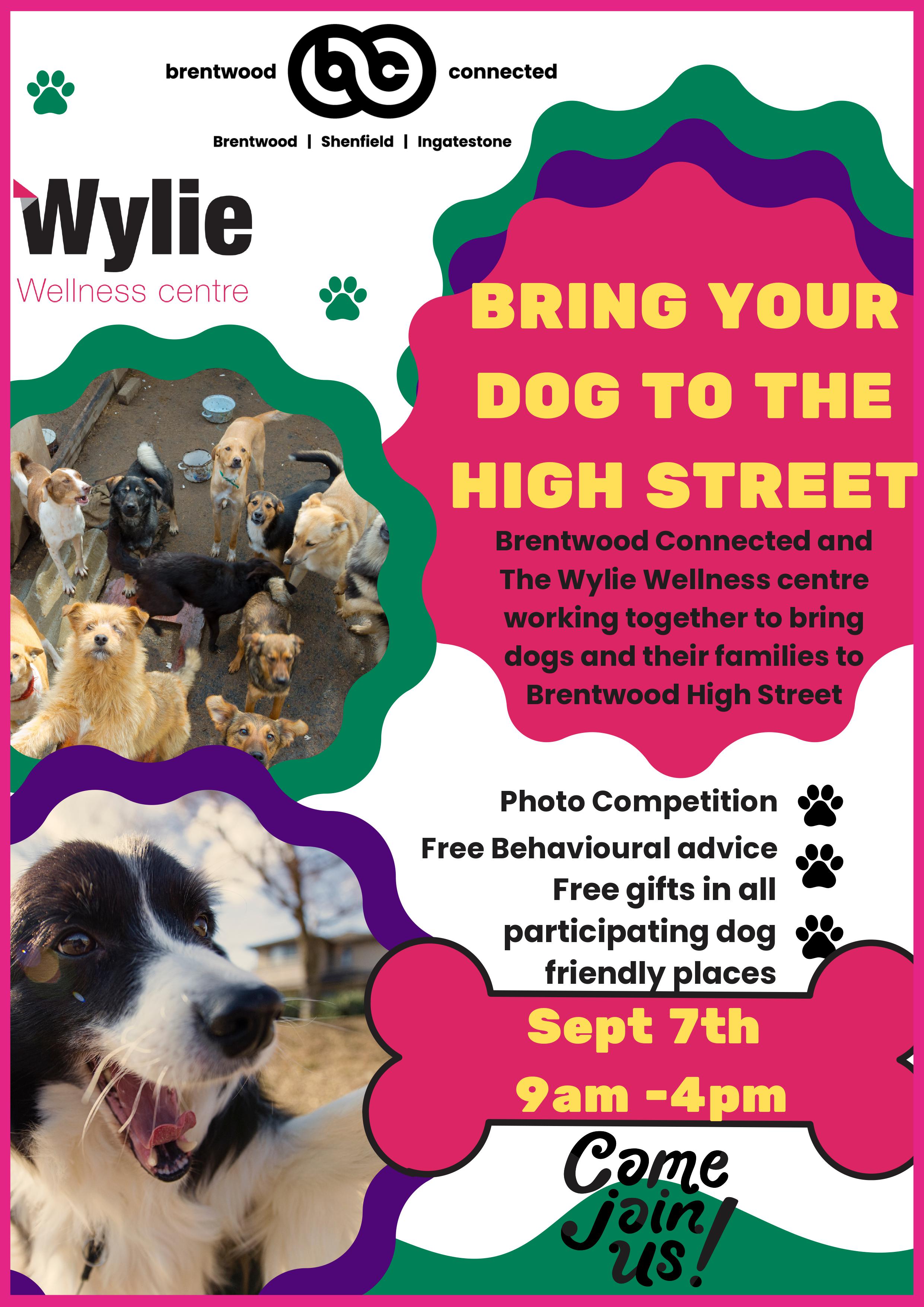 Images of dogs.  BRING YOUR DOG TO THE HIGH STREET  Brentwood Connected and The Wylie Wellness centre working together to bring dogs and their families to Brentwood High Street.  Photo competition.  Free Behavioural advice  Free gifts in all participating dog friendly places.  September 7th 9am -  4pm  COME JOIN US!  Brentwood Connected and Wylie Wellness Centre logos