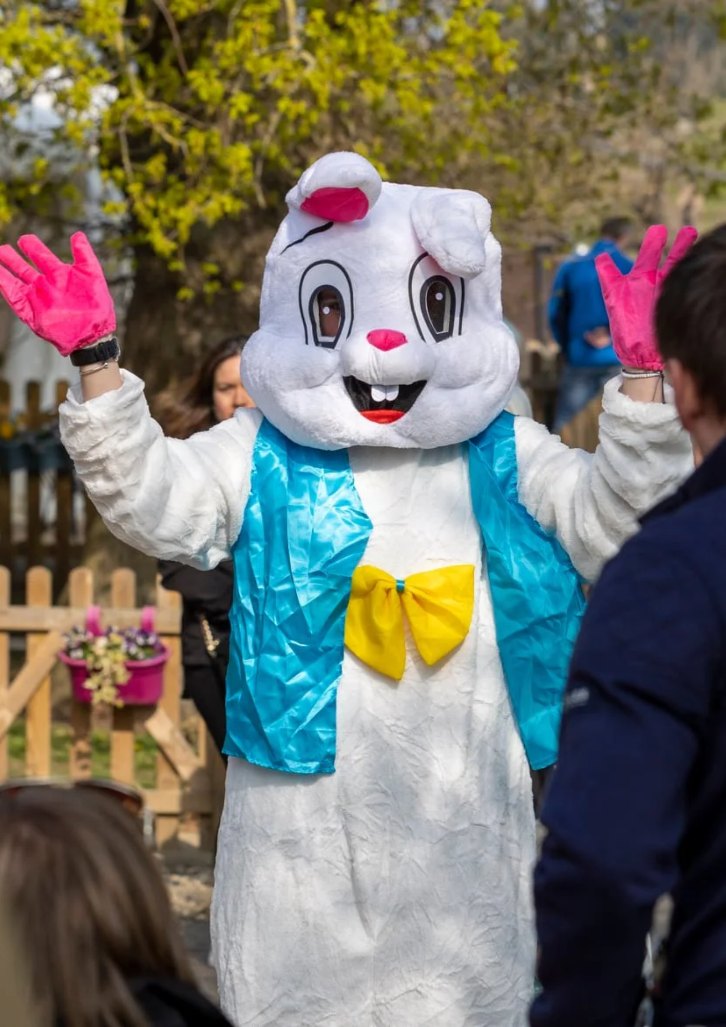 Image showing an Easter Bunny character at Hopefield Animal Sanctuary with their hands in the air.