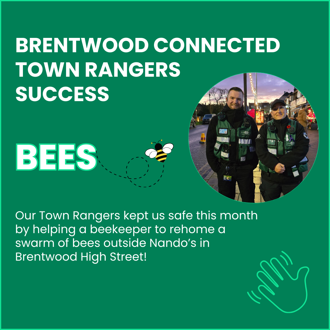 Brentwood Connected Town Rangers Success - highlighting the work they did to rehome bees.
