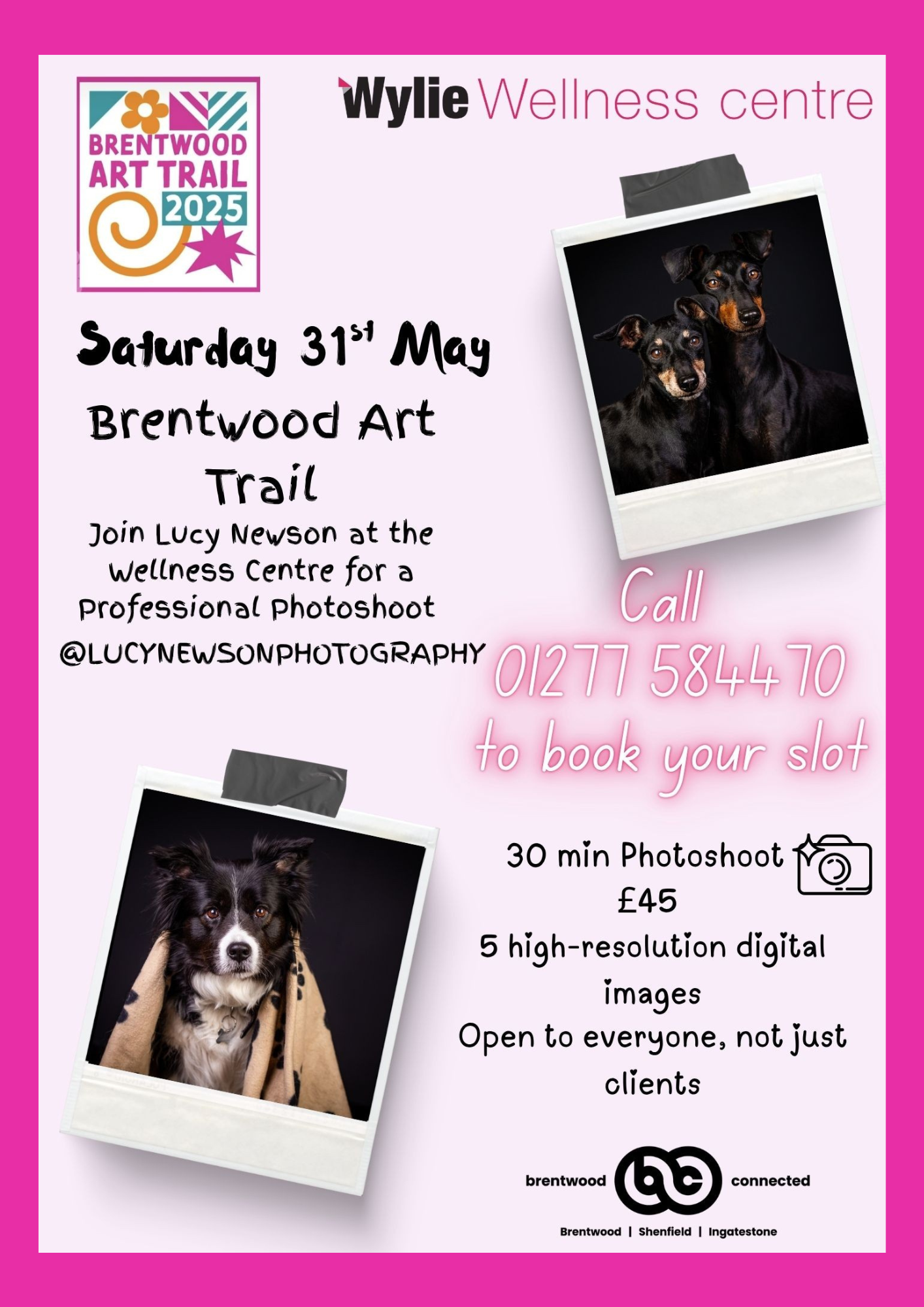 Poster promoting the Dog & Cat Photography Studio Experience Day with Lucy Newson Photography at Wylie Wellness Centre on Saturday 31 May as part of the Brentwood Art Trail.