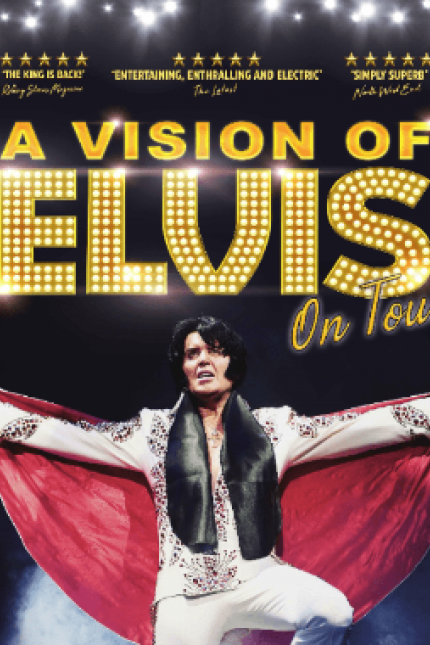 A vision of Elvis