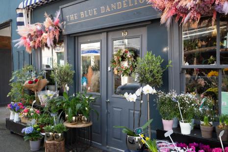 The Blue Dandelion Ingatestone