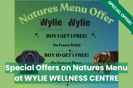 Image promoting the Natures Menu special offers at WYLIE WELLNESS CENTRE.