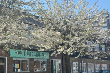 Exterior of Flying Fish takeaway in Brentwood Essex