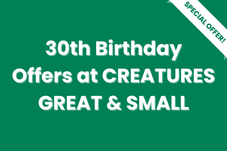 White text on green background with a white 'SPECIAL OFFER!' banner with green text on the right corner of the image. Text in the centre reads '30th Birthday Offers at CREATURES GREAT & SMALL'.