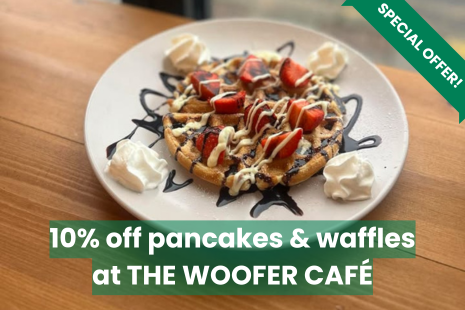 Image promoting a special offer at The Woofer Cafe. Image shows a plate with a waffle covered in cream, strawberries and chocolate sauce to promote 10% off pancakes & waffles.
